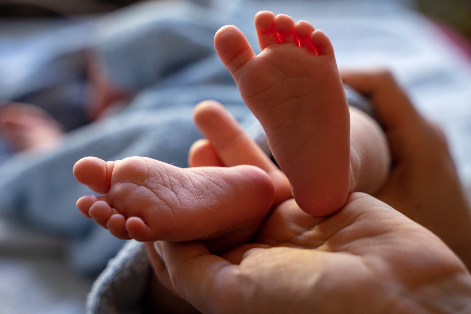 baby-4077353